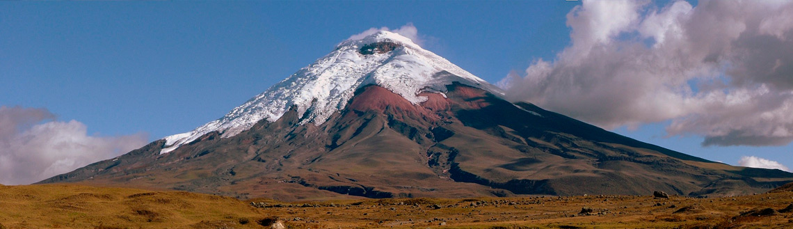 Free Printable Foto Of Mt Cotopaxi With Llamas